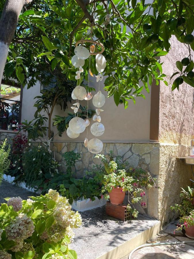 Casa de Férias Ona's House Borsh